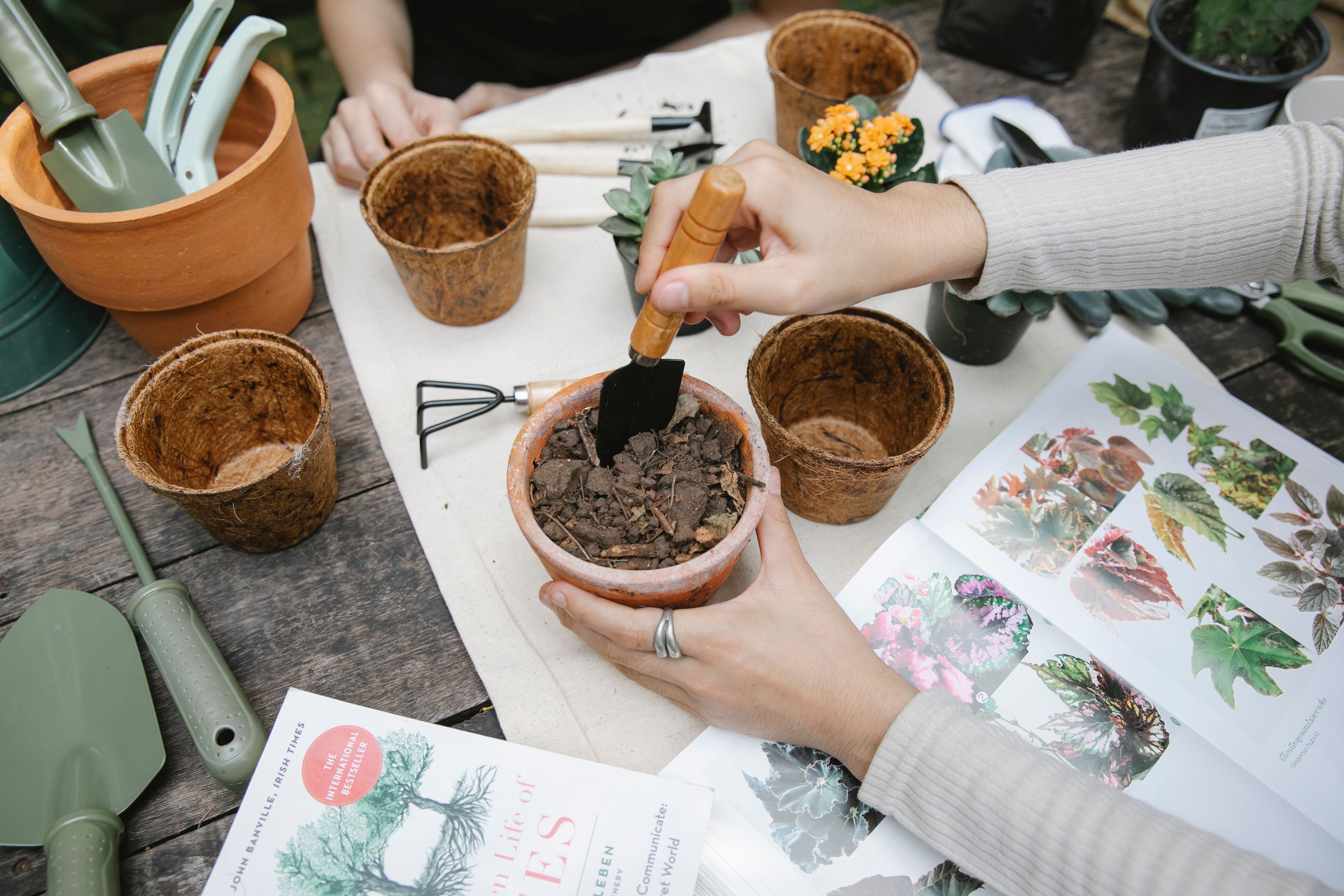 Gardener preparing soil beside an illustrated gardening book