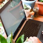 Hands typing a plant care article on a laptop surrounded by potted plants