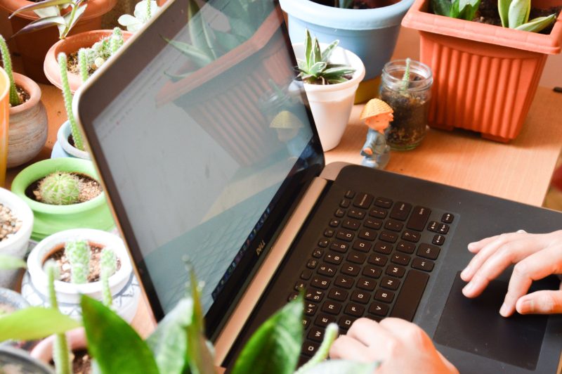 Hands typing a plant care article on a laptop surrounded by potted plants