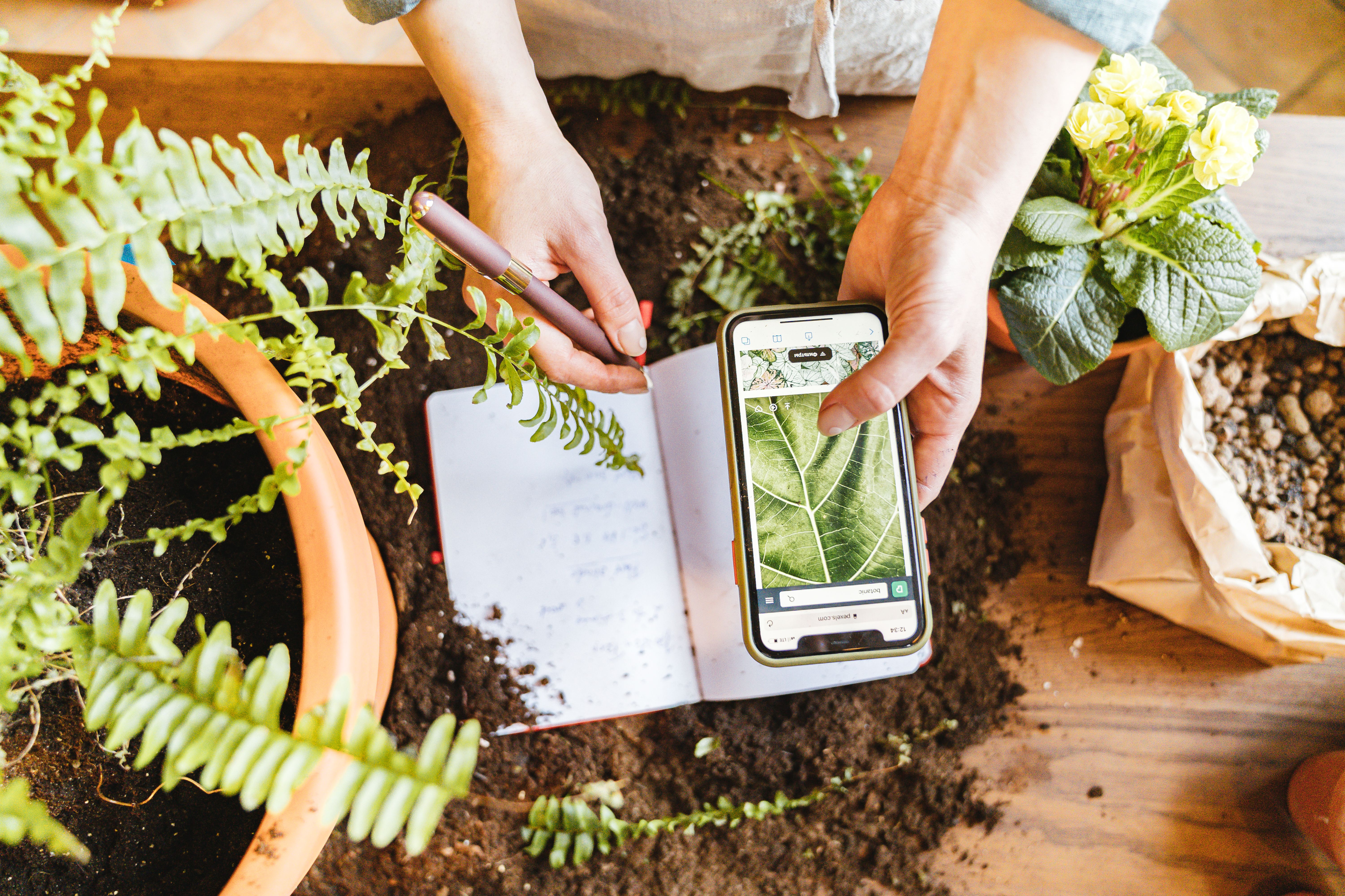 Gardener documenting indoor plant growth with a notebook and smartphone